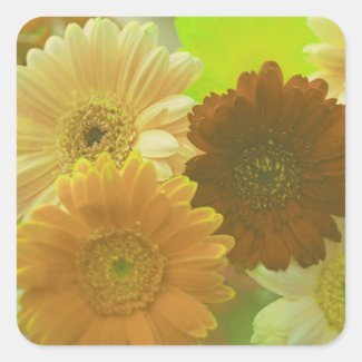 Yellow Gerbera Daisy Flowers Art Sticker Decals