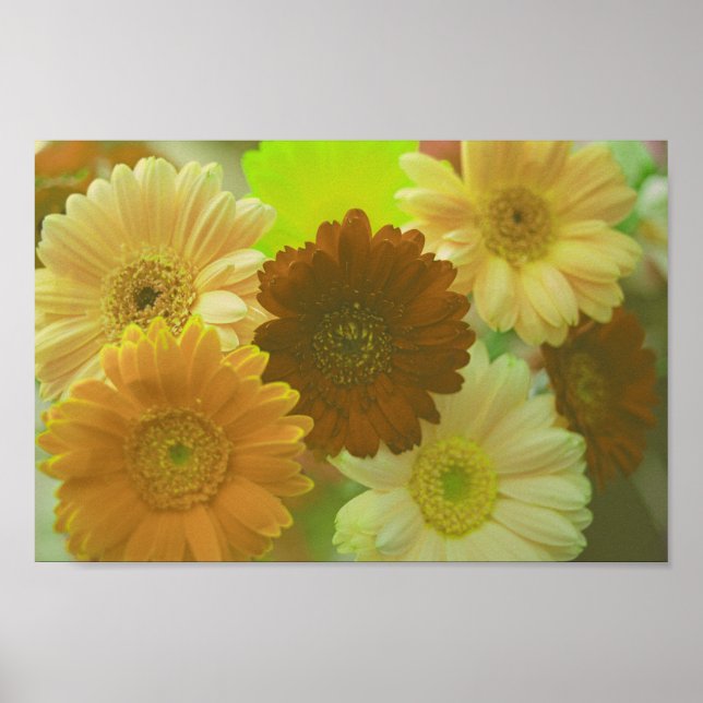 Yellow Gerbera Daisy Flowers Wall Art Print Poster (Front)