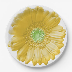 Yellow gerbera daisy paper plates