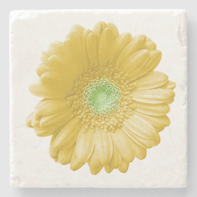 Yellow gerbera daisy stone coaster (Front)