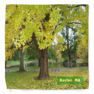 Yellow Gingko Tree Bandana