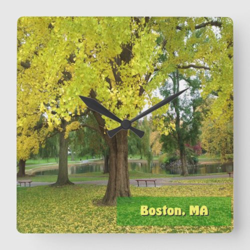 Yellow Gingko Tree _ Boston Public Garden Square Wall Clock