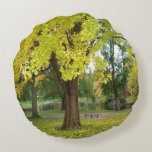 Yellow Gingko Tree Round Pillow<br><div class="desc">Golden yellow Ginko Tree in the fall.

By celeste@khoncepts.com
#maidenhairtree</div>