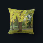 Yellow Gingko Tree Throw Pillow<br><div class="desc">In the heart of the Boston Public Garden,  a stunning yellow Ginkgo Biloba tree stands proudly by Lagoon Lake,  creating a striking and serene moment for all who pass by.

By https://www.zazzle.com/store/celestesheffey</div>