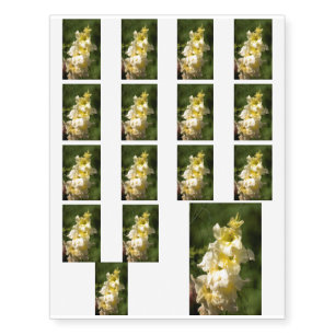 Yellow Gladiolus Flower Spike Temporary Tattoos