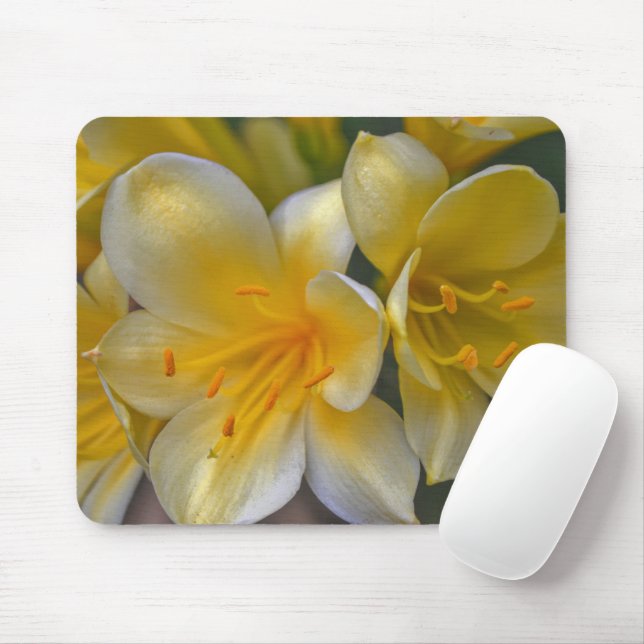Yellow Gold Lily Garden Flowers Mouse Pad (With Mouse)