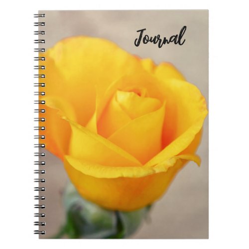 Yellow Gold Rose Flower Art Journal Notebook