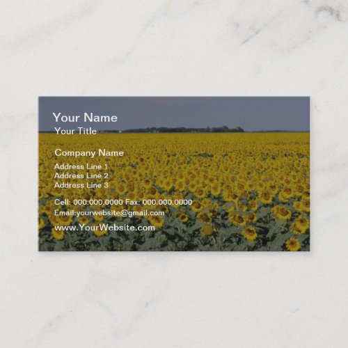 yellow Golden field of sunflowers, Manitoba flower Business Card Templates