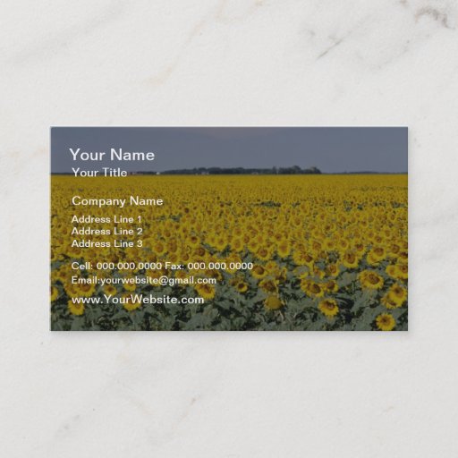 Customizable yellow Golden field of sunflowers, Manitoba flower Business Card Templates