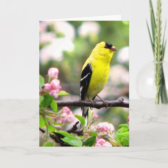 Yellow Goldfinch Bird and Pink Flowers Blank Card