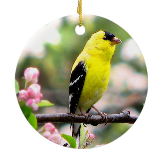 Yellow Goldfinch Bird in Pink Flowers Ornament