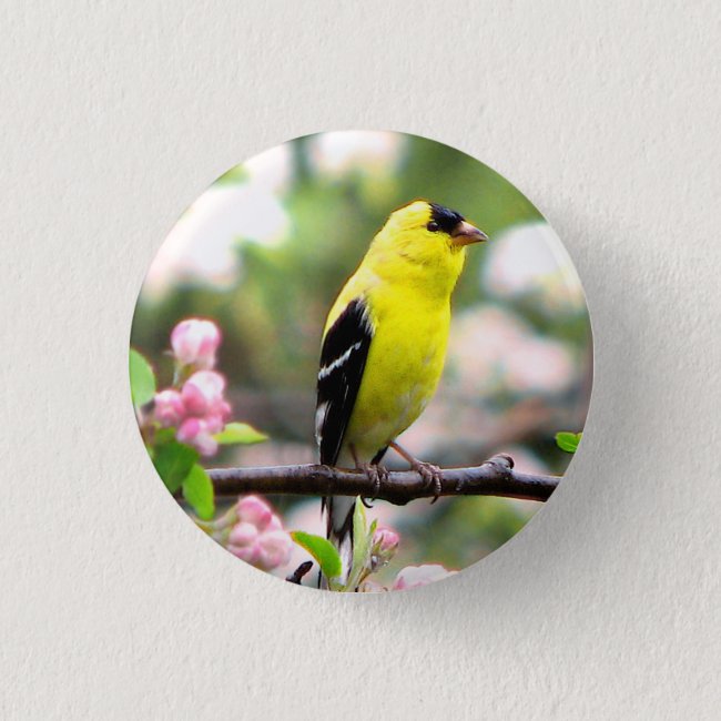 Yellow Goldfinch Bird on Pink Flowers Button