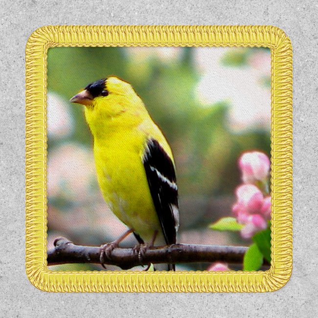 Yellow Goldfinch Bird with Pink Flowers Patch