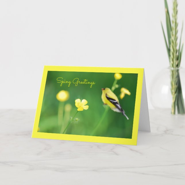 Yellow Goldfinch Greeting Card (Front)
