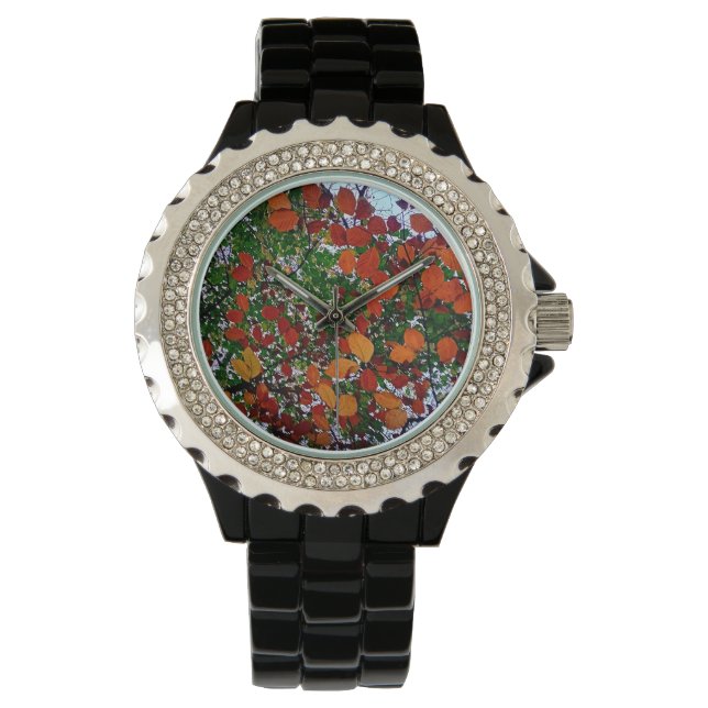 Yellow , green and orange leaves watch (Front)