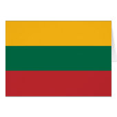 Yellow Green and Red Flag of Lithuania (Front Horizontal)