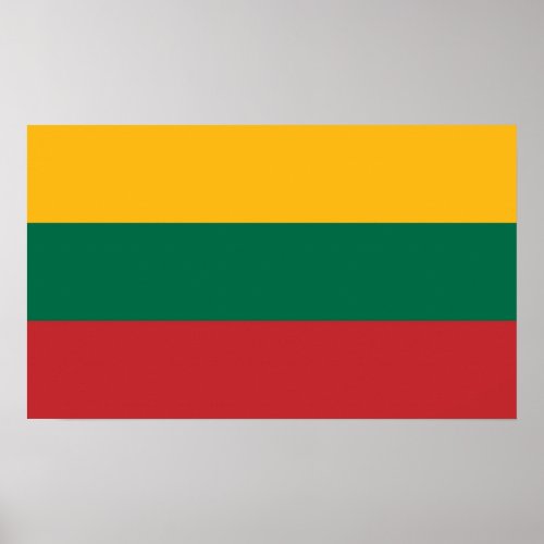 Yellow Green and Red Flag of Lithuania Poster