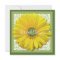 Yellow Green Gerber Daisy Bridal Shower Invitation