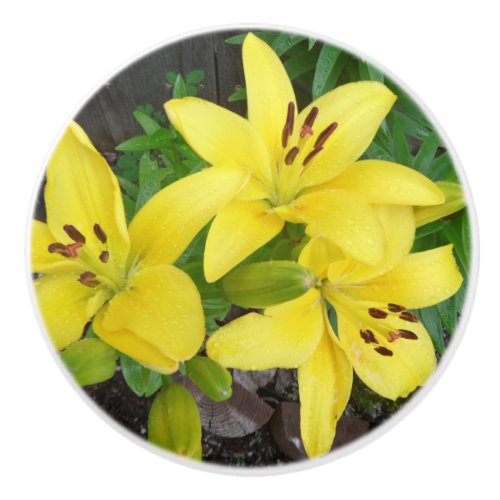 Yellow  Green Lily Ceramic Pull Door Knob