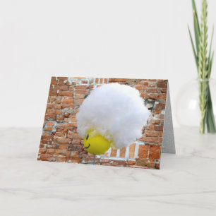 Yellow Happy Face Antenna Topper, Fluffy Snow Hat Holiday Card