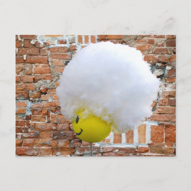 Yellow Happy Face Antenna Topper, Fluffy Snow Hat Postcard (Front)