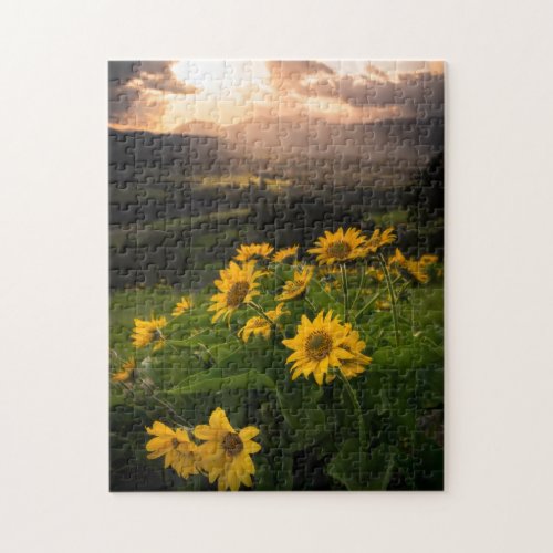 Yellow Hardy Sunflower Best Sunflower Photos Jigsaw Puzzle