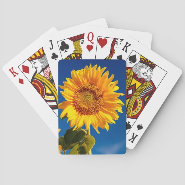 Yellow Hardy Sunflower Best Sunflower Photos Poker Cards (Back)