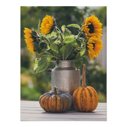 Yellow Hardy Sunflower Best Sunflower Photos Poster