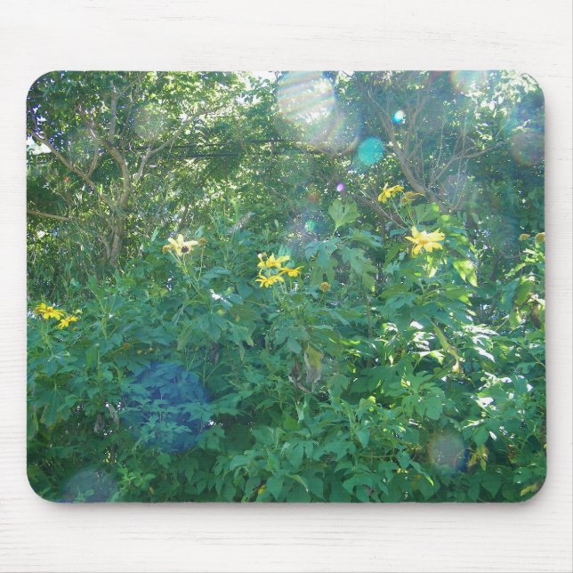 Yellow Hawaiian Wildflowers from Kauai Hawaii Mouse Pad (Front)