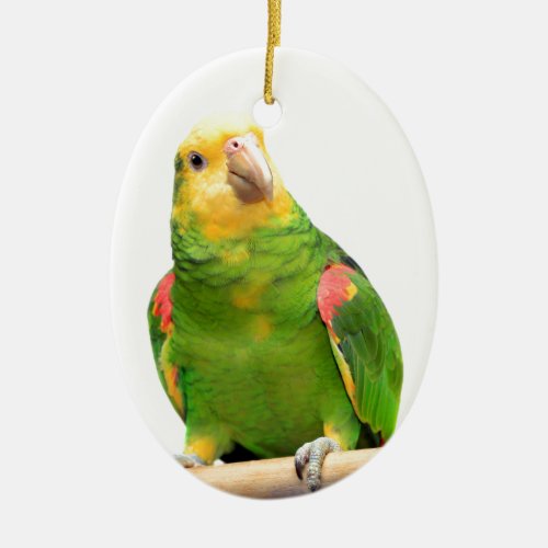 Yellow_headed amazon ceramic ornament