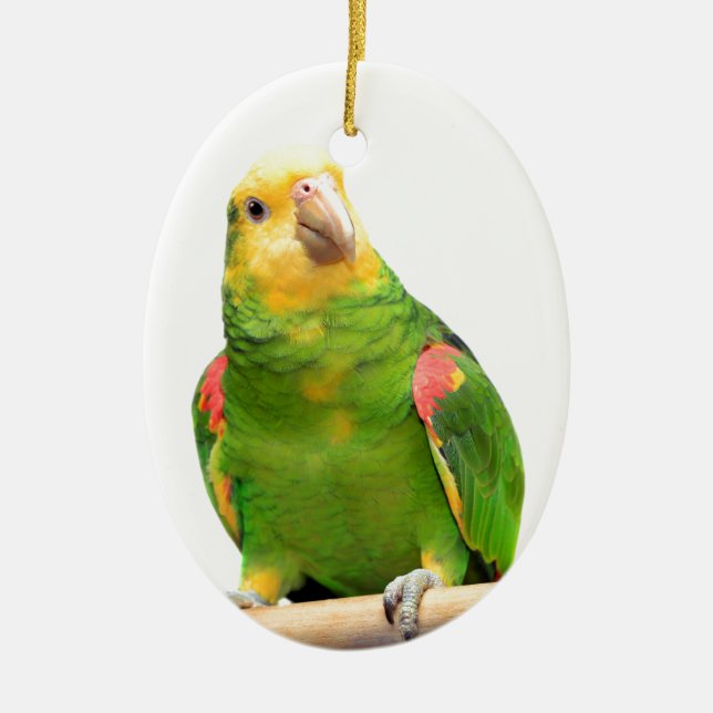 Yellow-headed amazon ceramic ornament (Front)