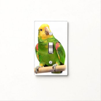 Yellow-headed Amazon Light Switch Cover by BirdsGallery at Zazzle