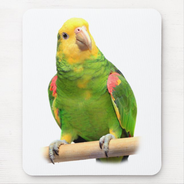 Yellow-headed amazon mouse pad (Front)