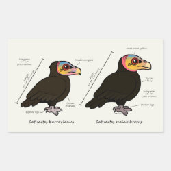 Yellow-headed Greater v Lesser Rectangle Sticker