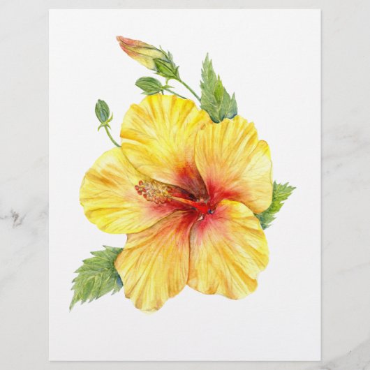 Yellow Hibiscus Botanical Art (Front)