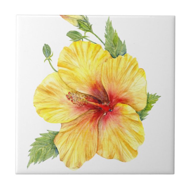 Yellow Hibiscus Botanical Art Ceramic Tile (Front)