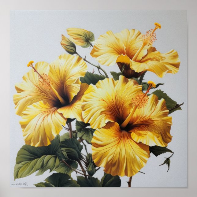 Yellow Hibiscus Flower Art Print Poster (Front)