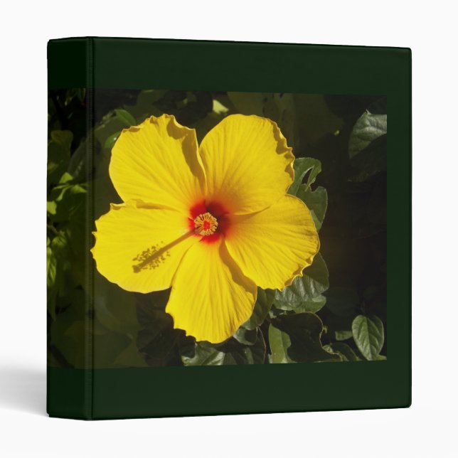 Yellow Hibiscus Flower Binder (Front/Spine)