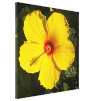 Yellow Hibiscus Flower Canvas Print