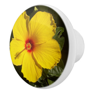 Yellow Hibiscus Flower Ceramic Knob