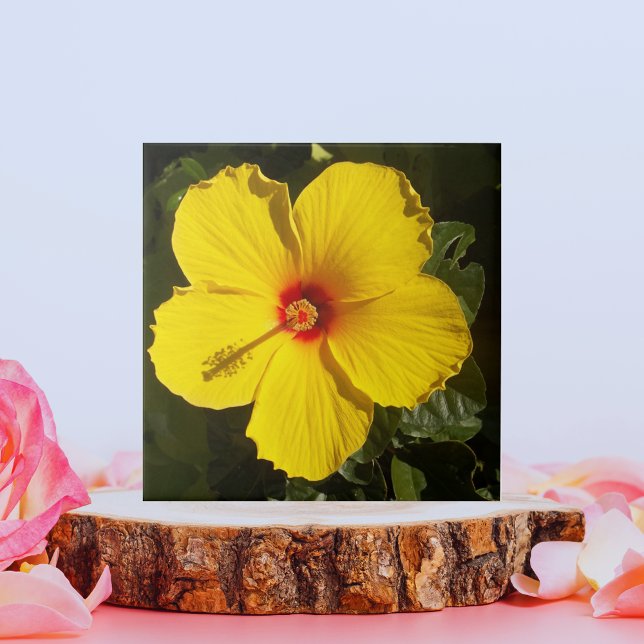 Yellow Hibiscus Flower Ceramic Tile (Yellow Hibiscus Flower Ceramic Tile)
