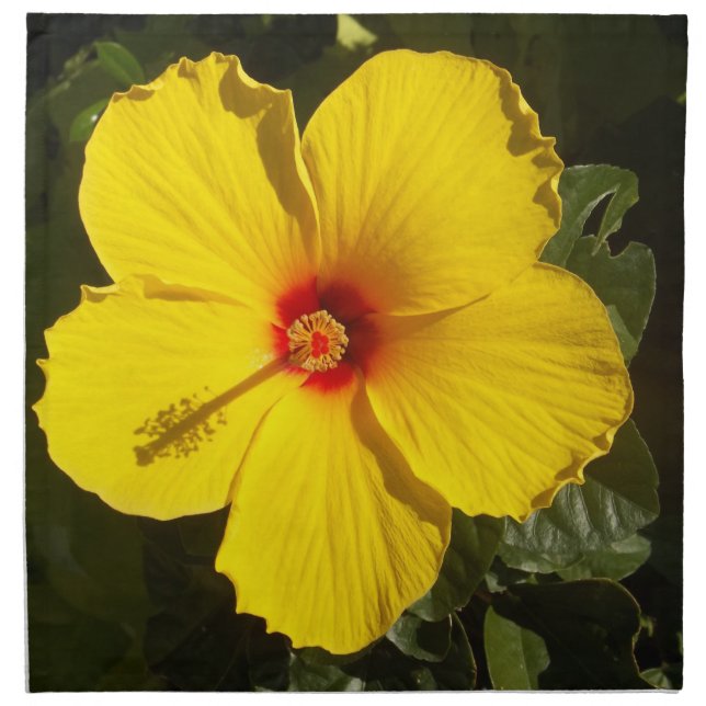 Yellow Hibiscus Flower Cloth Napkin (Front)