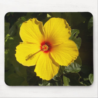 Yellow Hibiscus Flower Mouse Pad
