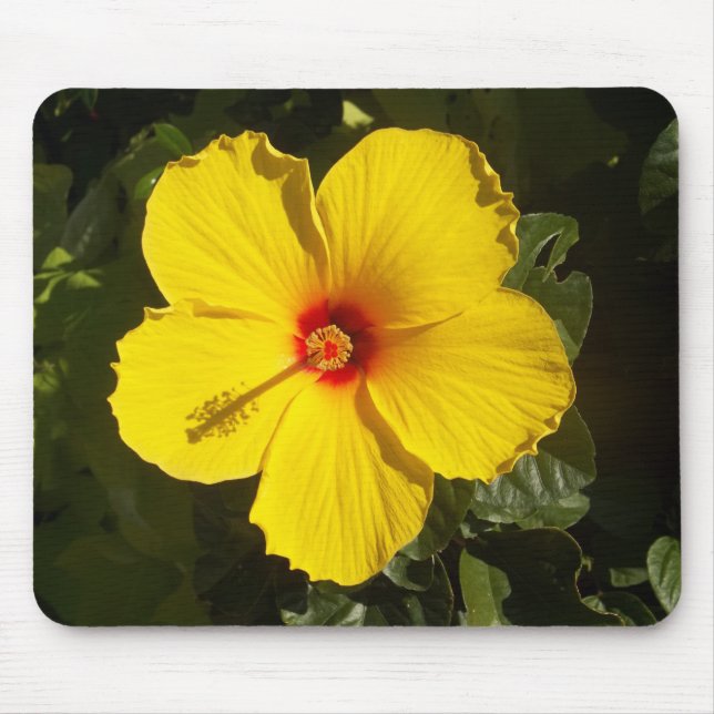 Yellow Hibiscus Flower Mouse Pad (Front)