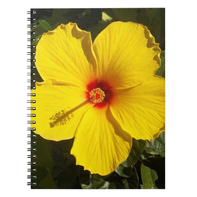 Yellow Hibiscus Flower Notebook (Front)