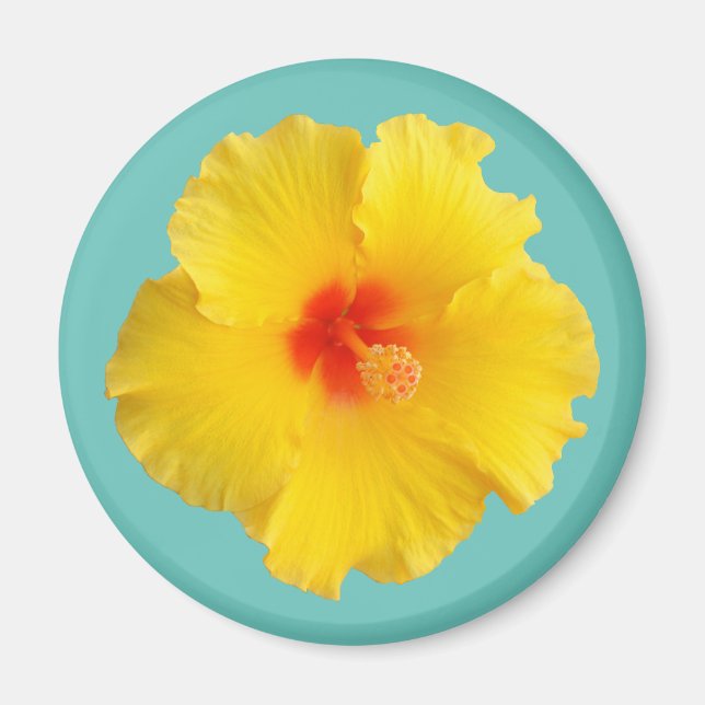 Yellow Hibiscus Flower Photo Magnet (Front)