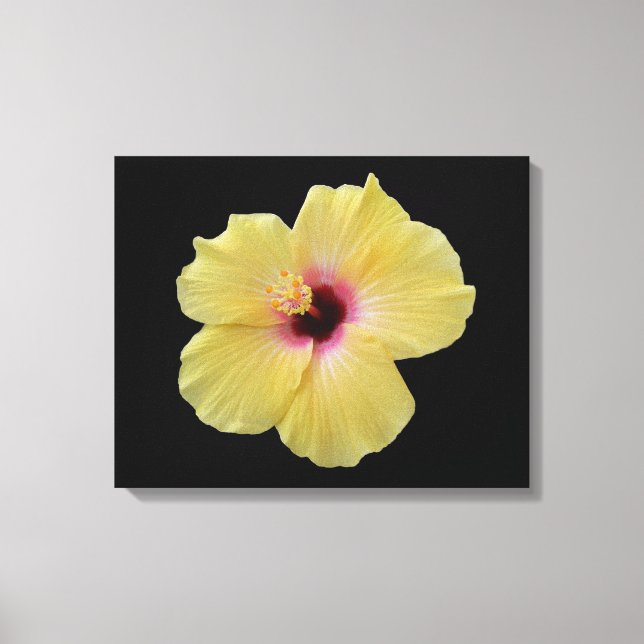 Yellow Hibiscus Flower Wrapped Canvas Print (Front)