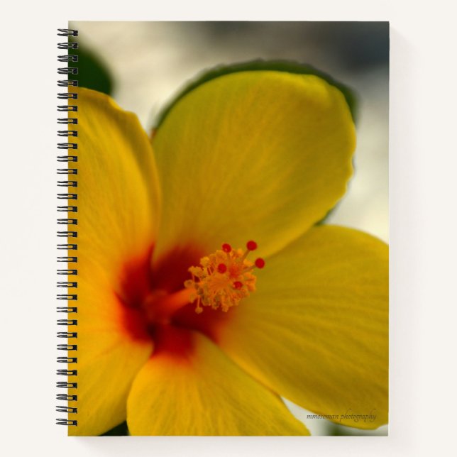 Yellow Hibiscus Notebook (Front)