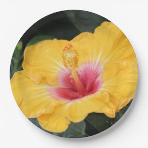 Yellow hibiscus paper plates