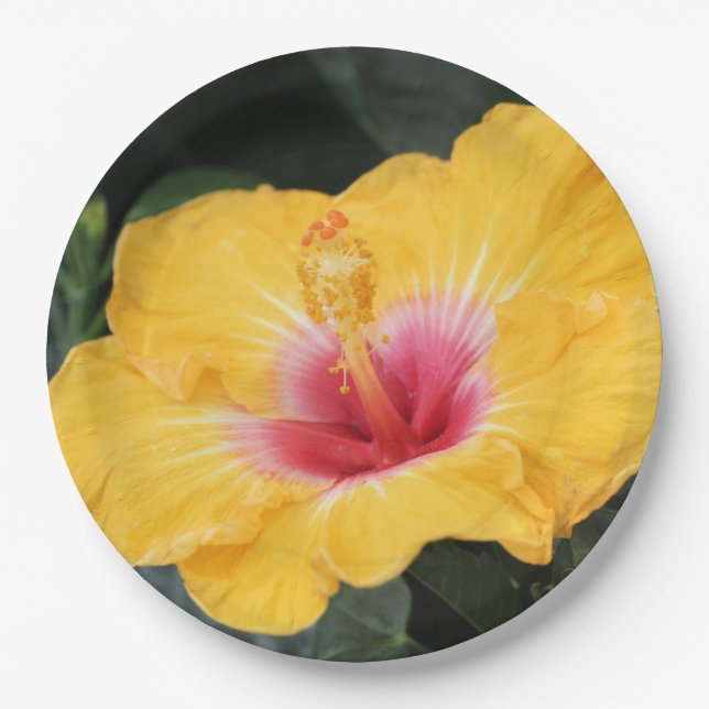 Yellow hibiscus paper plates (Front)